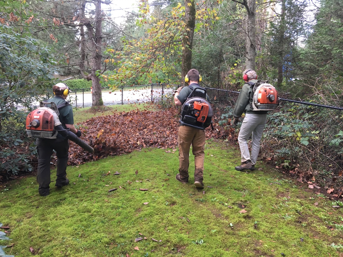 Three workers blowing leaves