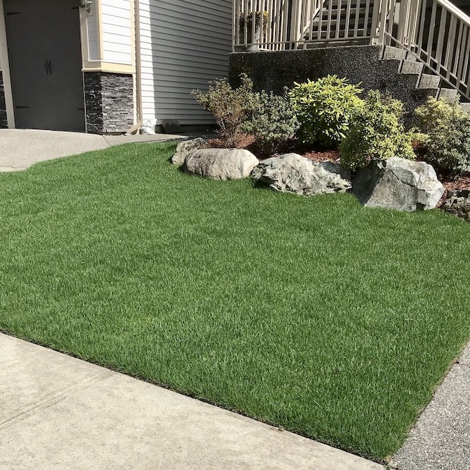 Front yard